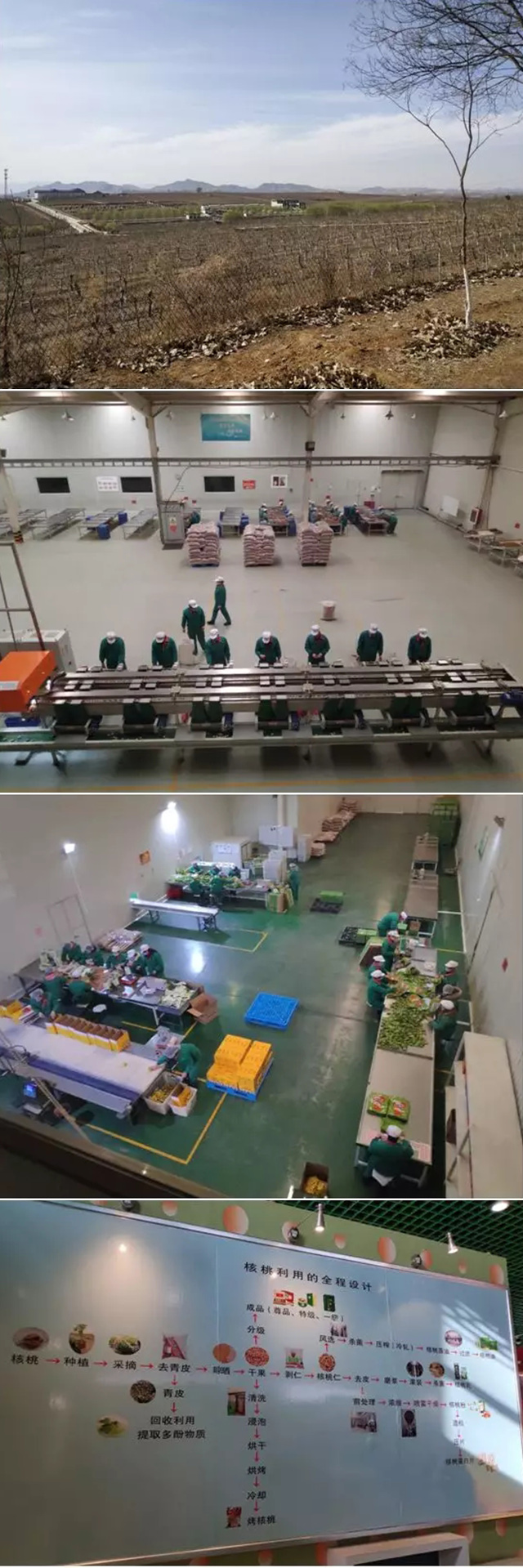 绿岭考察