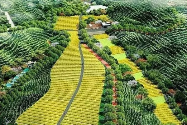 实施绿色循环优质高效特色农业