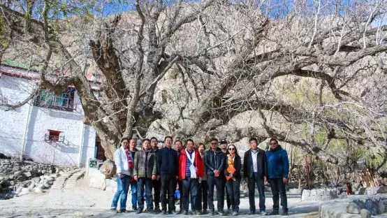 雅鲁藏布江边的卡如乡正在打造具有藏族特色美丽旅游乡村