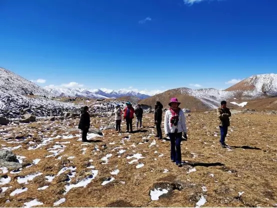 新农创工作组在琼穆岗嘎雪山海拔5400米的山腰考察