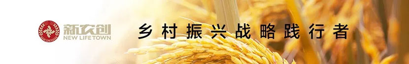 新农创乡村振兴战略践行者