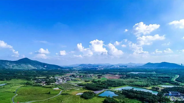 陈锡文：中国的乡村为什么必须要振兴
