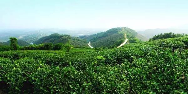 信阳市浉河区陈湾村