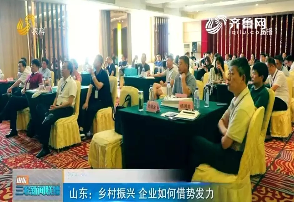 齐鲁乡村振兴  企业如何借势发力