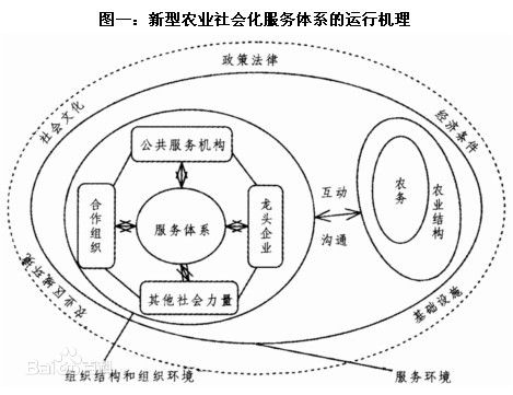 新型农业社会化服务体系的运行机理