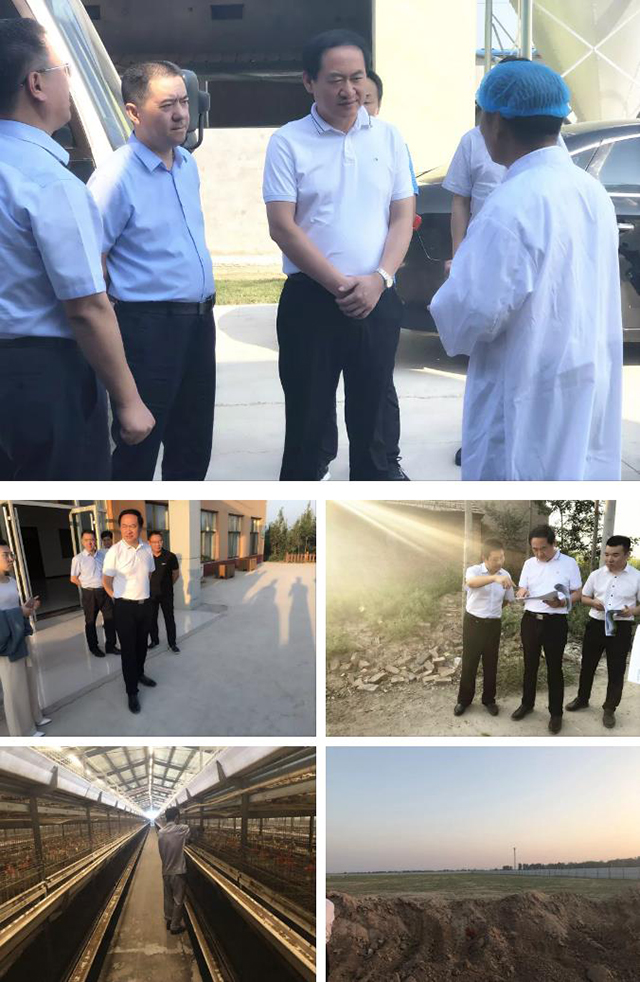 新农创集团鄄城县考察