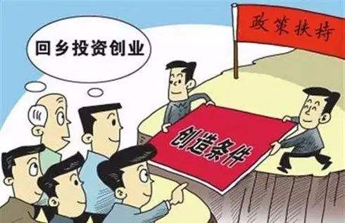 返乡入乡创业