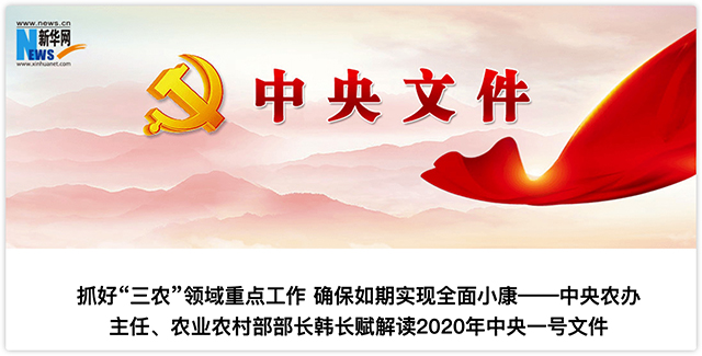2020中央一号文件