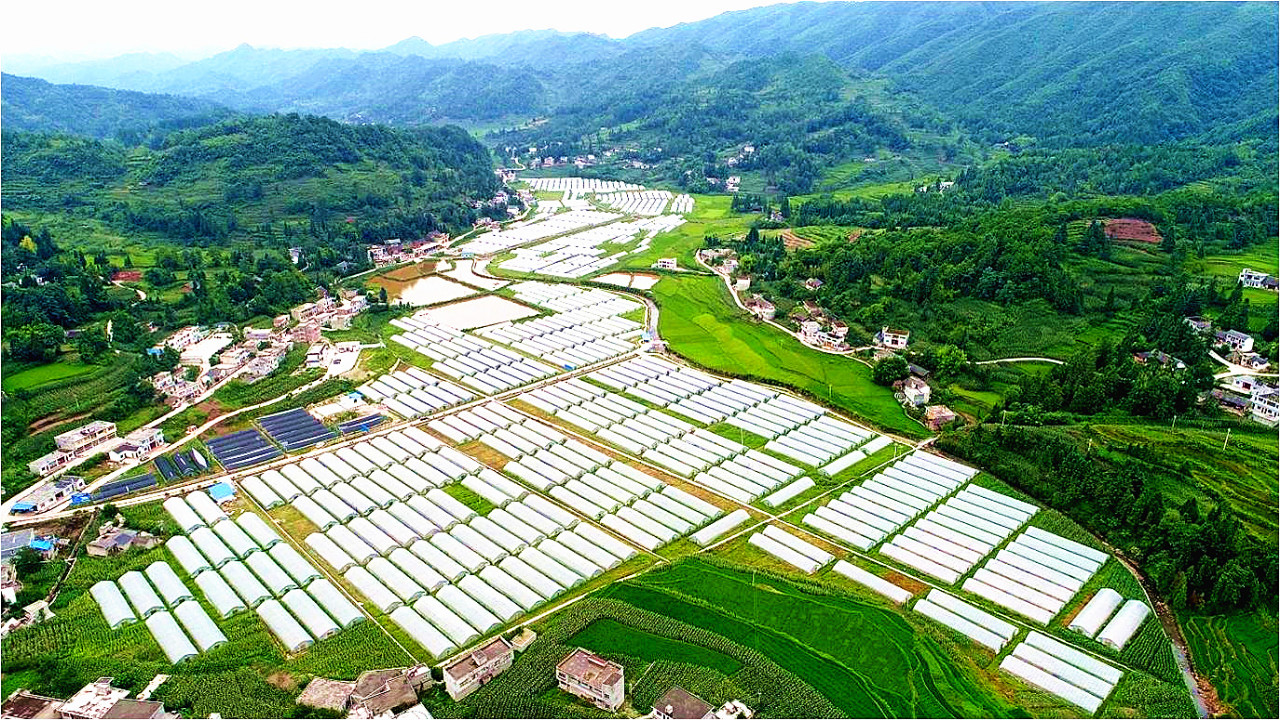 乡村振兴的拿地模式