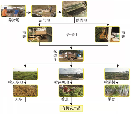 畜禽粪污资源化利用流程图